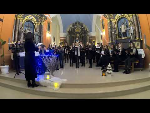Zbor mladih Vedrina (Vedrina Choir) - Somewhere in my Memory