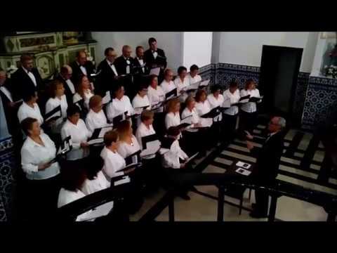 Noche en Blanco en Segura de León