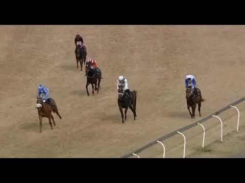 SHEELA - Vaal 15 Jul