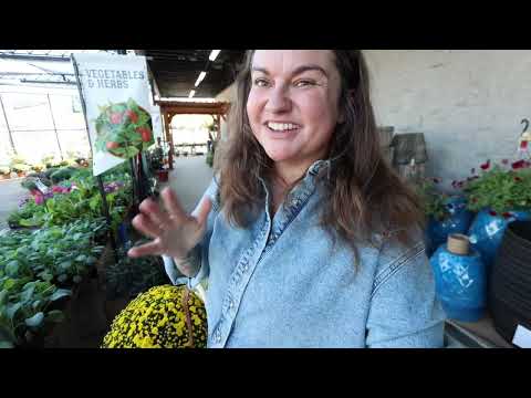 Discovering the Fall Garden Fairy: Our Chosen Family