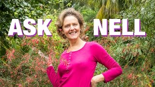 Ask Nell: Soil & Soil Prep For Succulents