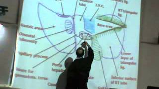 Dr Sherif Da3m Abdomen 12 (liver part 2)