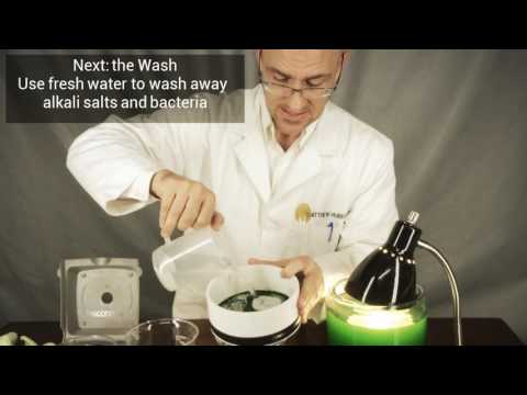 Harvesting Spirulina