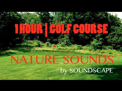 1 HOUR of Nature Sounds | Golf Course | RELAX/SLEEP/CONCENTRATE