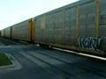 Dittmar Train Tracks