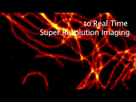 The Fast Track to Superresolution  Leica TCS STED CW