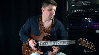 Video thumbnail for ENGL Steve Morse Signature Demo by Юрий Хижняк