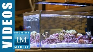 innovative marine 20 gallon
