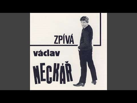 Stříbrná flétna