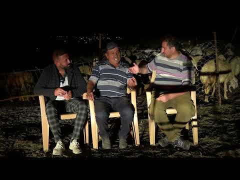 15 TANE KURT ETRAFIMIZI SARDI EŞEĞİMİ VE BENİ YİYECEKLERDİ DEDİ ! KURTLA KANGAL KARŞIMDA KARŞILAŞTI