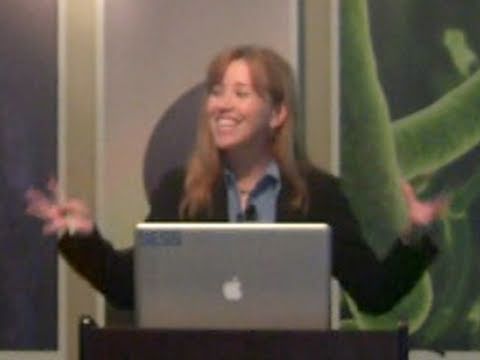 Meteoroid Threats to Spacecraft - Sigrid Close (SETI Talks)