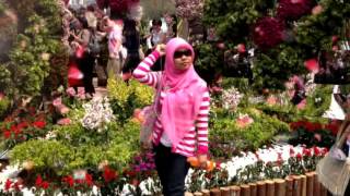 Download lagu Siti badria—selimut malam mp3