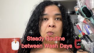 Steady Routine between Wash Days | Curly Cami Channel 