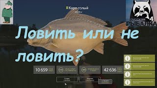 Рыбалка на медвежьем озере новосибирск