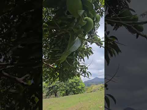 Cantones como la Varilla en Corinto Morazan El Salvador