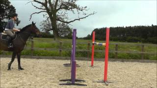 July training &amp; gracelands Marco