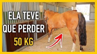 Miniatura do vídeo