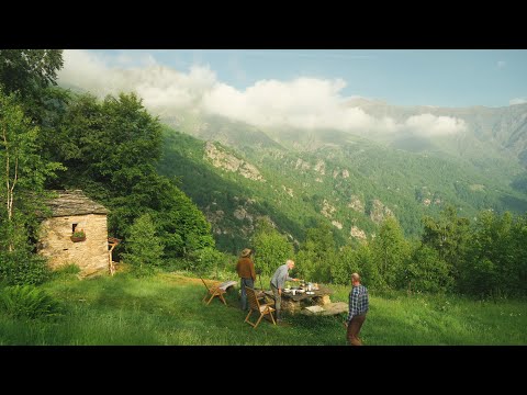 #166 Family visit, Building Stone Walls, Cows arriving