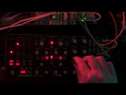 Pamela's New Workout for Subharmonicon