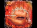 Andy timmons - Don't bring me down