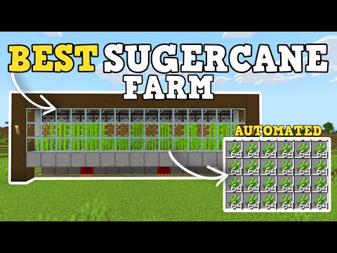 LA MIGLIORE FATTORIA AUTOMATICA DI CANNA DA ZUCCHERO IN MINECRAFT BEDROCK 1.21+!!