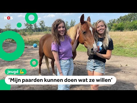Fenna over Hoefwijzer, praten over paarden en fans ontmoeten