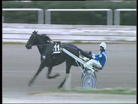 Trotto 05/01/2016 - 3° corsa