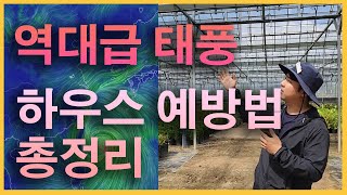 점점 다가오는 초강력 태풍, 내 하우스 어떻게 예방할까?! 총정리 #태풍 #정원 #비닐하우스