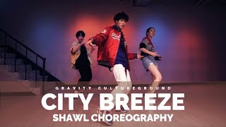 CITY BREEZE - JAY PARK, KIRIN | SHAWL CHOREOGRAPHY