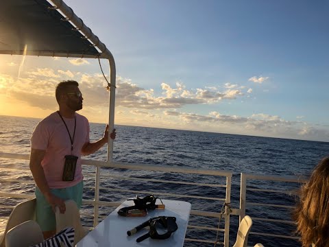 Top 5 Beaches Traveled