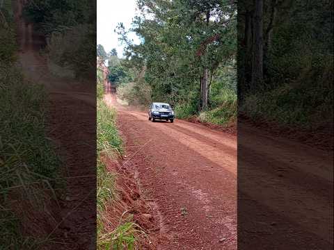 RALLY MISIONERO FECHA 4 #misiones #gol #argentina #viral #rally #rallycar #shorts #puertorico