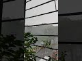 Rimjhim Ke Geet Sawan Gaye Rafi Barish