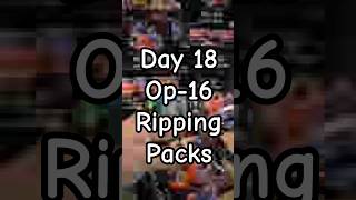 Day 18 OP-16 Pack Opening — Pulled an AA Leader posting until I'm famous