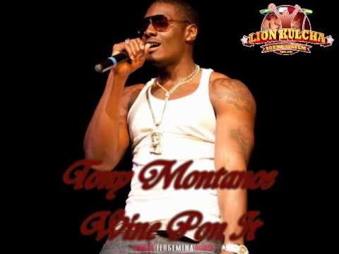 Tony Montanos - Wine Pon It ( Dubplate ) Lion Kulcha Sound