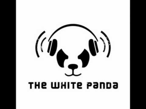 The White Panda - Shake Drop on Video