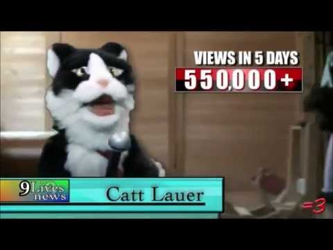 Catt Lauer - CATT LAUER