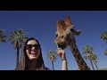 Caravan Safari At The San Diego Zoo Safari Park