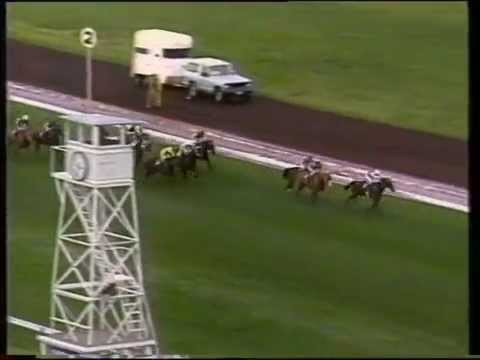1988 Flemington - Zeditave/High Regard/Riva Gleam/Placid Ark