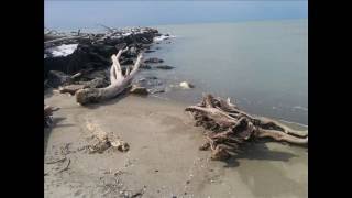 LEAVING (chet baker) smooth jazz trumpet Giovanni Andreoli