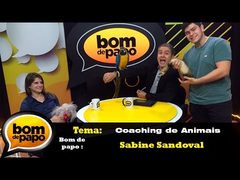 Programa Bom de Papo 18/08/2016 - Dra. Sabine Sandoval