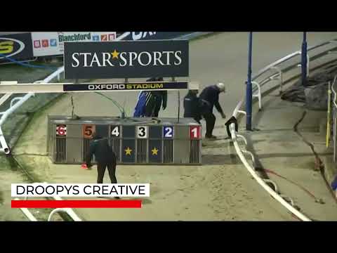 Droopys Creative - Oxford