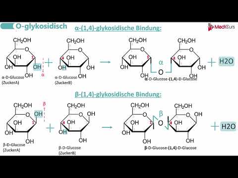 Glycosidic bonds