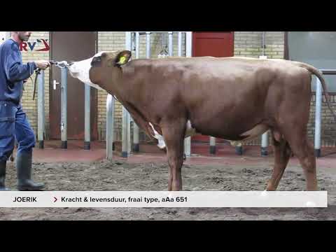 De Graslanden Joerik