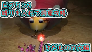 【switch】ピクミン2 大量の縛りを入れて全ての洞窟を攻略する けだものの穴編 縛り内容概要欄