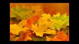 EYLÜLDE GEL (ALPAY)