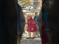 What it was like to be Hung, Drawn & Quartered