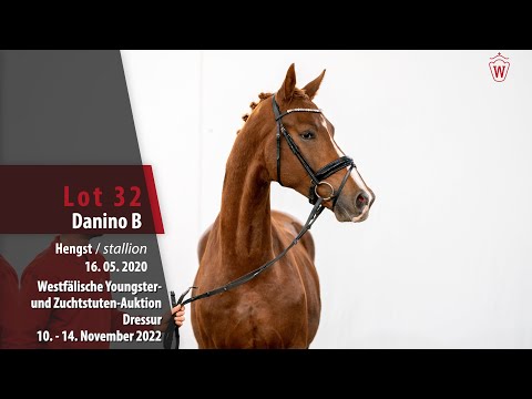 Online-Auktion Lot 32 Danino B Hengst v. Danone I - Vivaldi