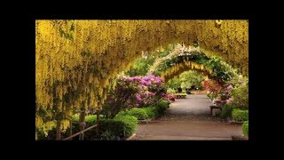 Secret Garden - First day of spring