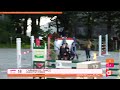 Vente Élevage SFO - Souche CSIO 5*