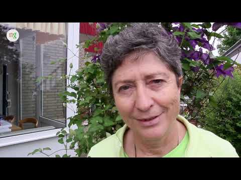 Dr. Katharina Friedrich: SEHEN OHNE AUGEN, Teil 1 (Erwachsene, Seminarmitschnitt)